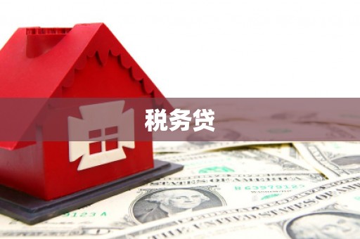 通道税务贷