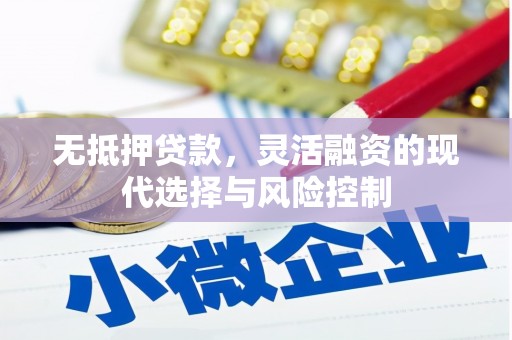 西城无抵押贷款，灵活融资的现代选择与风险控制