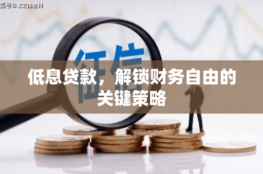 扶余低息贷款，解锁财务自由的关键策略