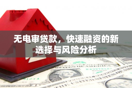 狮子山无电审贷款，快速融资的新选择与风险分析