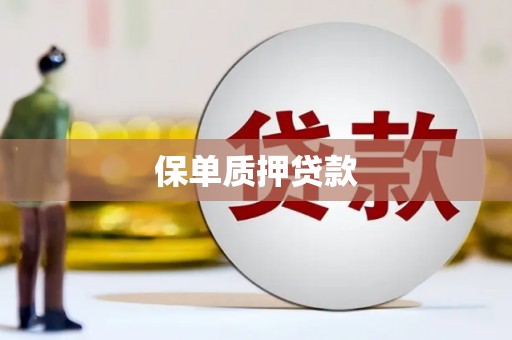 新郑保单质押贷款