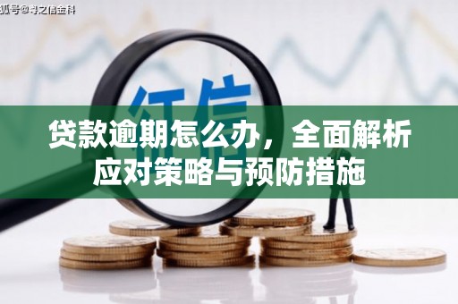 赣榆贷款逾期怎么办，全面解析应对策略与预防措施
