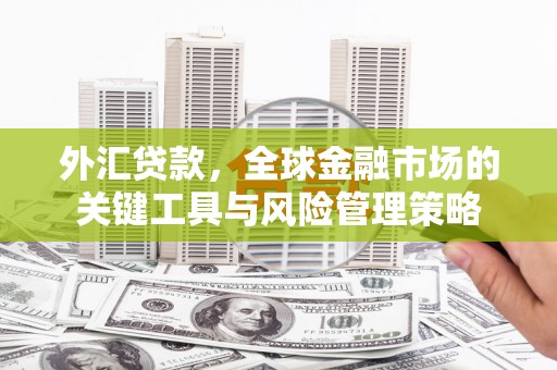 天元外汇贷款，全球金融市场的关键工具与风险管理策略