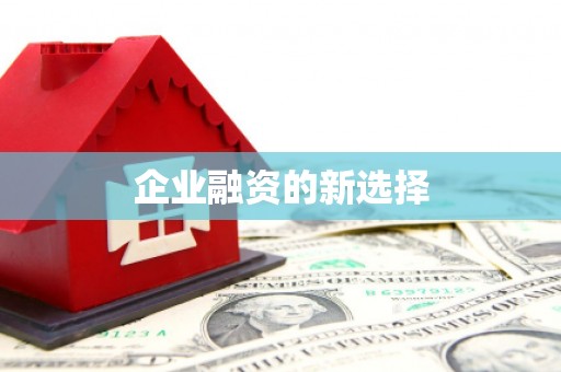 镇安企业融资的新选择