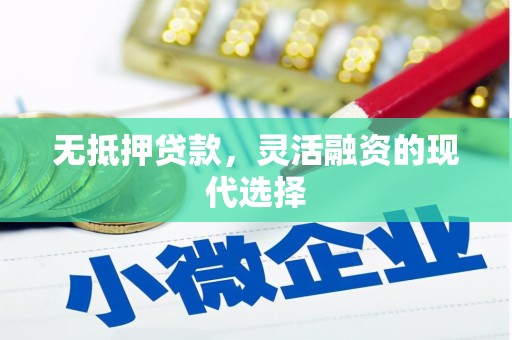 镇巴无抵押贷款，灵活融资的现代选择