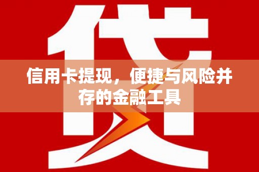 龙文信用卡提现，便捷与风险并存的金融工具