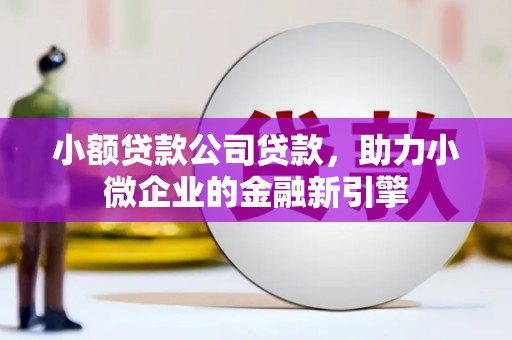 汉中小额贷款公司贷款，助力小微企业的金融新引擎