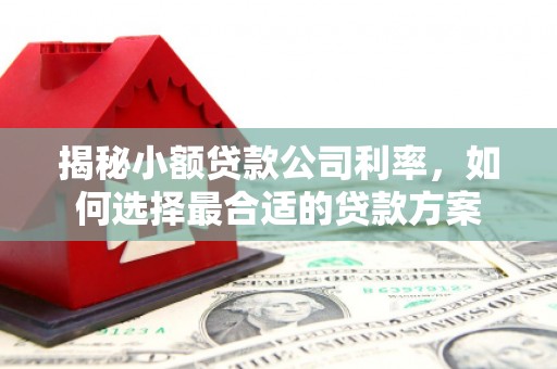多伦揭秘小额贷款公司利率，如何选择最合适的贷款方案