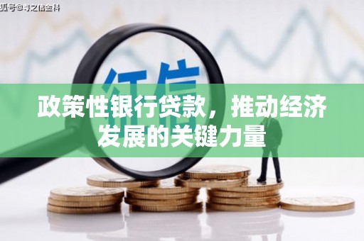 望安政策性银行贷款，推动经济发展的关键力量