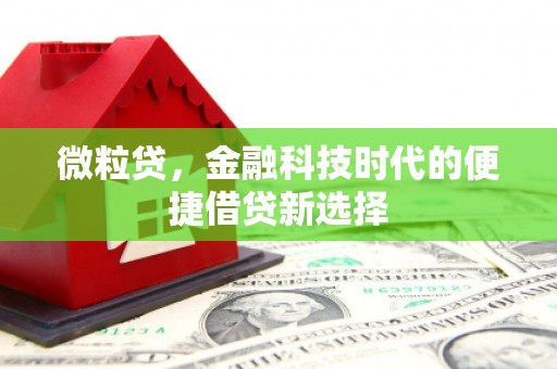 武宣微粒贷，金融科技时代的便捷借贷新选择