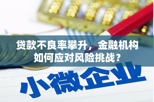 德清贷款不良率攀升，金融机构如何应对风险挑战？