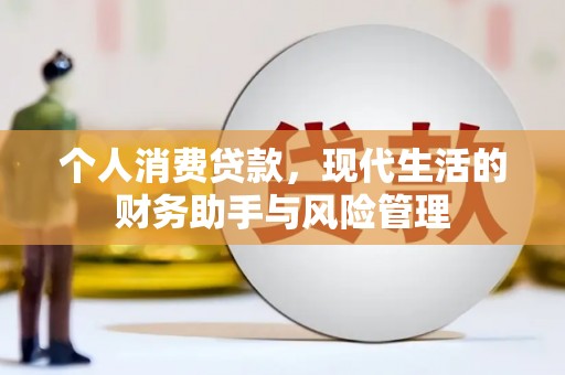 大武个人消费贷款，现代生活的财务助手与风险管理