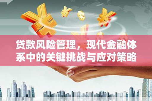 博山贷款风险管理，现代金融体系中的关键挑战与应对策略