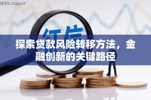 沙鹿探索贷款风险转移方法，金融创新的关键路径