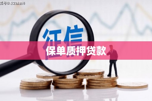 久治保单质押贷款