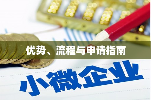 水城优势、流程与申请指南