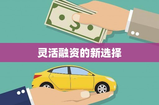 十堰灵活融资的新选择