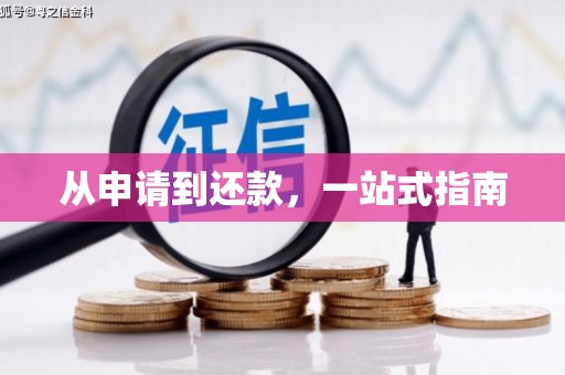 云龙从申请到还款，一站式指南