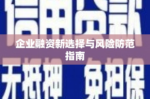 莎车企业融资新选择与风险防范指南