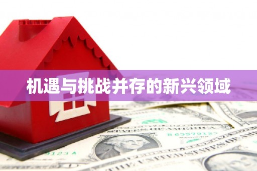汪清机遇与挑战并存的新兴领域