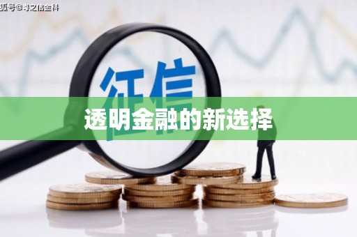大宁透明金融的新选择